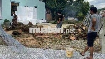 chủ nợ ngân hàng nên cần bán gấp lô đất này trong tuần 225m2 thổ cư