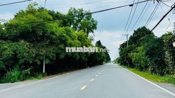 Đất mặt tiền đường 438-thông Nguyễn Văn Khạ:104m2 (6x17). Giá 1 tỷ 290