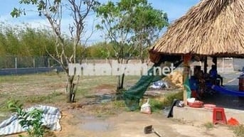 🌿 BÁN NHÀ VƯỜN VIEW KÊNH PHƯỚC HÒA – XÃ THÁI MỸ, CỦ CHI, TP.HCM 🌿