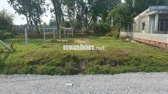 Bán đất Trung Lập Hạ - Củ Chi: 330m2 (10x33) - 278m2 thổ cư.Giá 1tỷ500