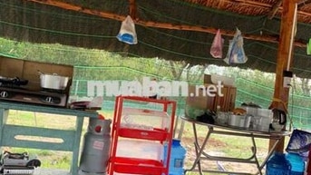 Bán nhà vườn Thái Mỹ - Củ Chi: 954m2(24x37) - 300m2 thổ cư. Giá 2tỷ200