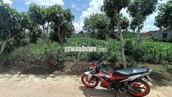 Chính chủ Đất Thổ Cư Tân Hội, cách chợ Tân Hội 5p, ra Liên Nghĩa 10p