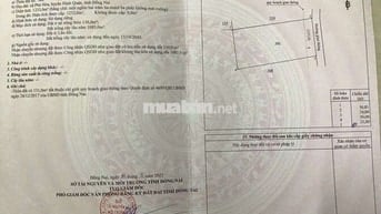 1233M2 ĐẤT THỔ CƯ - ĐƯỜNG BÊ TÔNG !