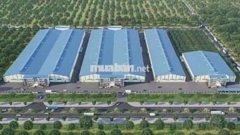 cho thuê nhà xưởng dệt nhuộm- khu công nghiệp đồng nai mơi