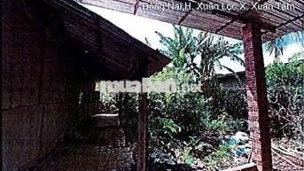 Bán ĐGTS đất tại xã Xuân Hòa, tỉnh Đồng Nai