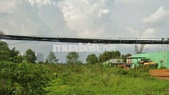 Lục đục chia tài sản cần bán lô đất MT Hưng Long-An Phú TâyBình Chánh