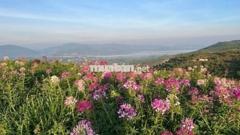Mảnh đất hiếm tại Bảo Lộc – nơi mây, suối và pháp lý gặp nhau