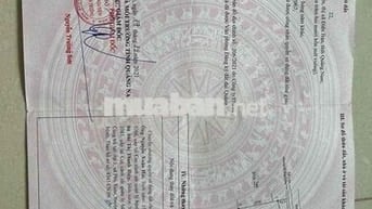 ĐẤT MẶT TIỀN RỘNG- ĐƯỜNG XE HƠI- VIEW LÚA