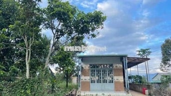 Nhà vườn trái cây Khánh Thượng - DT: 2000m2 (20x100m) - QH thổ cư