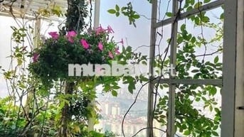 ​GIÁ 3 TỶ! CHUNG CƯ HH1 LINH ĐÀM - HOÀNG MAI: PENTHOUSE VIEW ĐỘC!