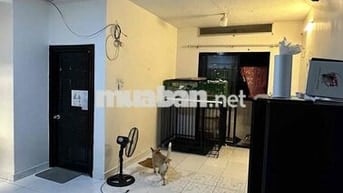 Căn hộ 1PN Thái An mới sơn lại 46m2