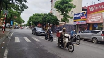 ĐẤT ĐẸP NGÔ XUÂN QUẢNG - TRÂU QUỲ
