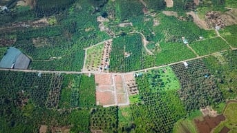 Đất Di Linh gần Đà Lạt sổ hồng riêng có ngay, giá ưu đãi chỉ 658tr