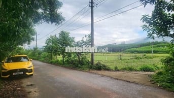 Bán 1 lô đất 2 mặt tiền như hình