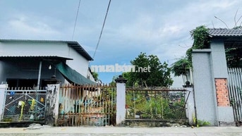 BÁN ĐẤT: 6,23x37 (105m2 thổ cư) Nguyễn Phong Sắc - TT Củ Chi - SHR