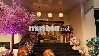 🚀 Nguyễn Du Q1 – Vị trí đắc địa, kinh doanh mọi mô hình!