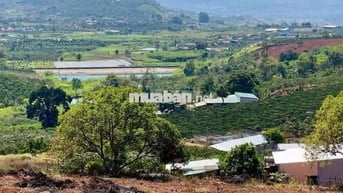 Chủ gửi bán lô đât view đẹp tại Lâm Hà giá chỉ 575tr
