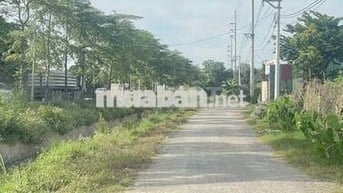 🏭 BÁN KHO XƯỞNG 5000M² – THƯỜNG TÍN, HÀ NỘI 🏭