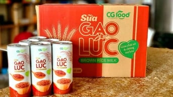 SỮA GẠO LỨT CG FOOD – THỨC UỐNG LÀNH MẠNH CHO CUỘC SỐNG HIỆN ĐẠI ✨ 