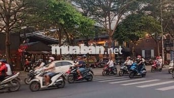MT Vườn Lài 25x16 Gần Trường Đại Học