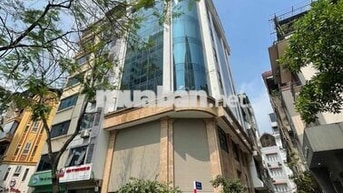 Chính chủ cho thuê sàn vp tại Phạm Tuấn Tài 150m2 giá 33t view cực đep