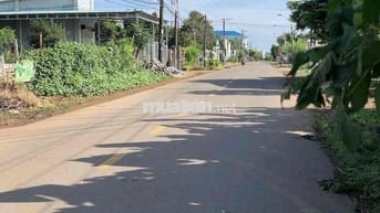 Bán nhanh lô đất 2.591m² Cây Gáo, Trảng Bom-Sổ Sẵn