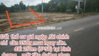 Bán đất ngộp giá  rẻ bình dương.  Giá 350 triệu . Diện tích 250m2.