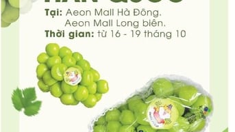 LỄ HỘI NHO SỮA HÀN QUỐC – CHỈ DIỄN RA DUY NHẤT TẠI AEON MALL