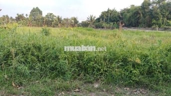 Đất Kế bên nhà VHTDTT BM 137m2 full thổ, rộng 5m, gần chợ, Vành Đai 3.