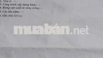 Nhà Cấp 4 kiên cố, 5x22=110m2, SHR, Đường DT 787,  Giá 730tr