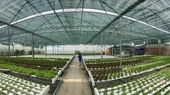 Bán đất tại Đường Vườn Thơm Bình Chánh Đã có sổ.