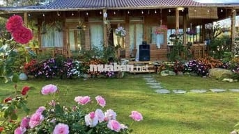 300m2 NGỘP CẦN BÁN GẤP TẠI TRUNG TÂM PHƯỜNG