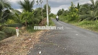 2 Công 5 CHỈ 1 TỶ 300 TRIỆU / 1000m² ĐẤT NHỰA GẦN KCN LONG GIANG