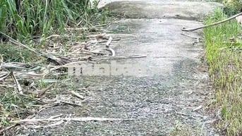 Ngay ngã 5 Chùa Hang – 2/ Phạm Thị Giây, gần chợ Ba Bầu, trường học, g