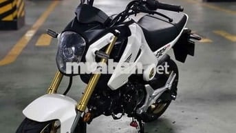 Honda Msx 125 trắng . mâm đồng