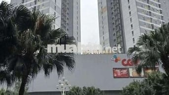 58M- TOÀ TRUNG RICE CITY - TÂY NAM LINH ĐÀM