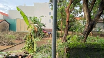 Cần bán đất thổ cư, sổ đỏ chính chủ 