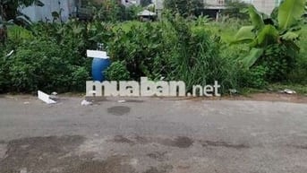 Bán cặp đất đường nhựa 10m thông,KDC Tân Đức,giai đoạn 1