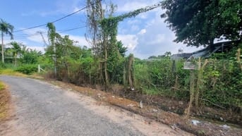 5x33 phường Gò Dầu. Đường nhựa, 620tr có TL 