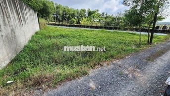 Bán 298m2 thổ cư, xã Hậu Nghĩa, mặt tiền ngang 22m