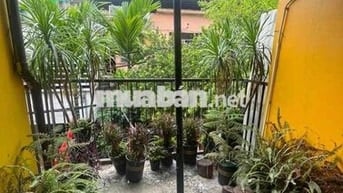 Cho Thuê Phòng ở Phố Kim Ngưu, Hà Nội