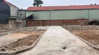 🎄 VỊ TRÍ TIỀM NĂNG Đường 3m Ô TÔ VÀO TẬN ĐẤT 10m ra TĐC Xâm Động - Vâ