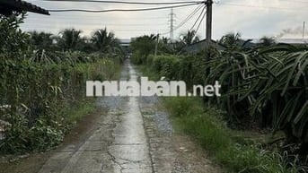 BÁN GẤP 2.344m² ĐẤT 2 MẶT TIỀN – GIÁ CHỈ 2 TỶ 350 TRIỆU đường oto