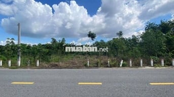 281m2 MT đường DH504(32m) kế ngay ủy ban Phước Thành Tp.HCM giá 590tr
