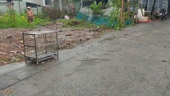 Chỉ hơn 3 tỷ Đất DT: 135m2- Ngày Chợ Gấu, Trịnh Thị Dối, Đông Thạnh 