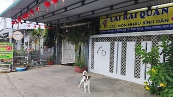 Mặt bằng thoáng mát, phù hợp kinh doanh cafe võng, quán ăn,quán nhậu
