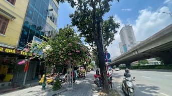 Bán nhà ngay ngã 4 Khuất Duy Tiến, 5m mặt tiền, Kinh doanh, Building
