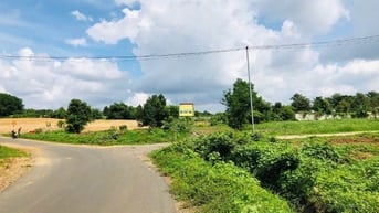 Bán đất 8,2Ha làm việc chính chủ