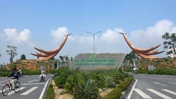 Bán gấp chung cư mini tầng 9 đc cửu việt 1 trâu quỳ gia lâm hà nội