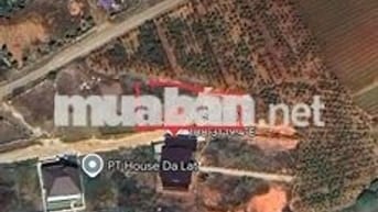 đất nền biệt thự đà Lạt full thổ cư